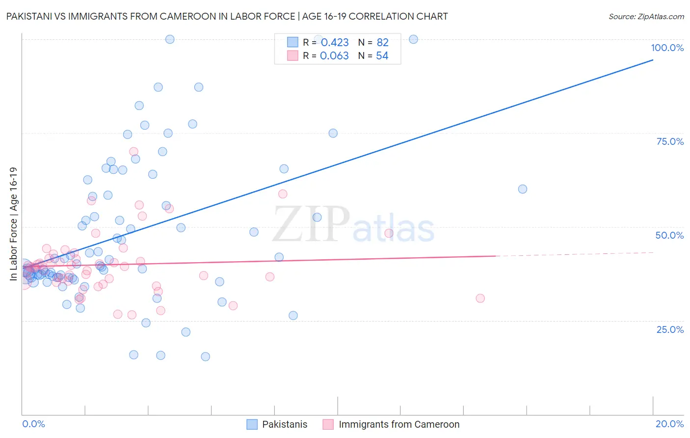 Pakistani vs Immigrants from Cameroon In Labor Force | Age 16-19