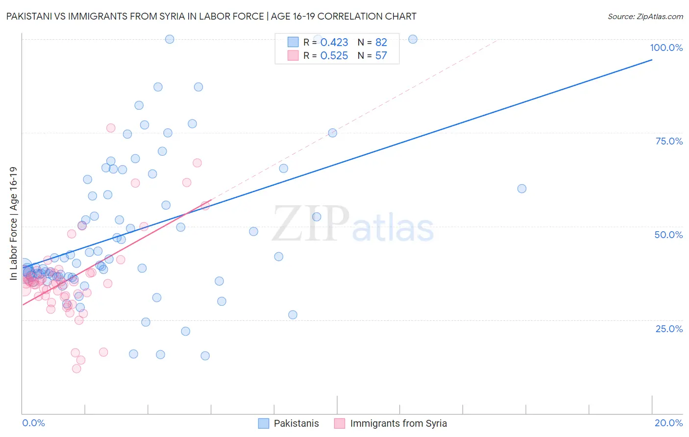 Pakistani vs Immigrants from Syria In Labor Force | Age 16-19