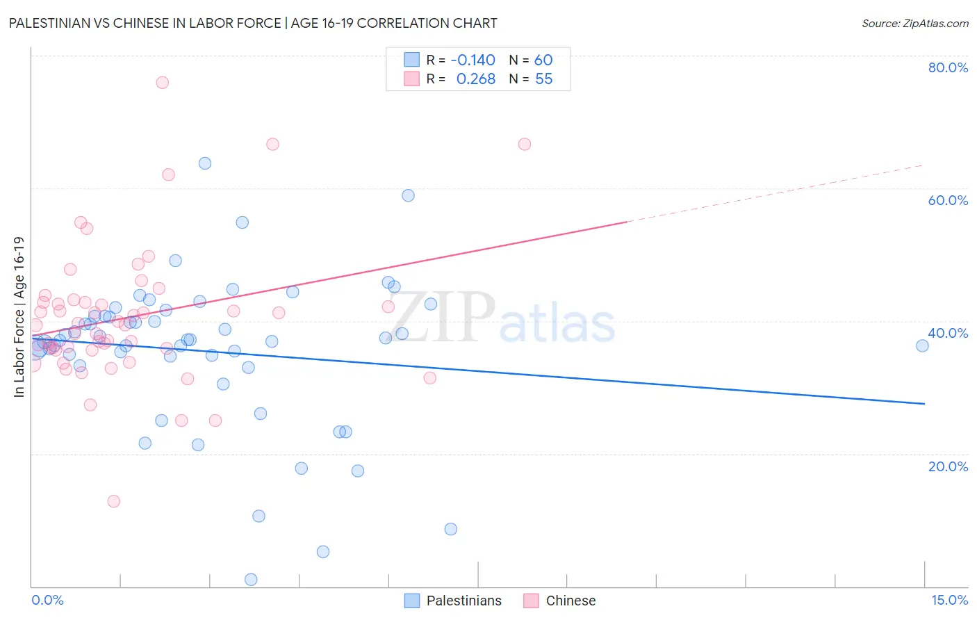 Palestinian vs Chinese In Labor Force | Age 16-19