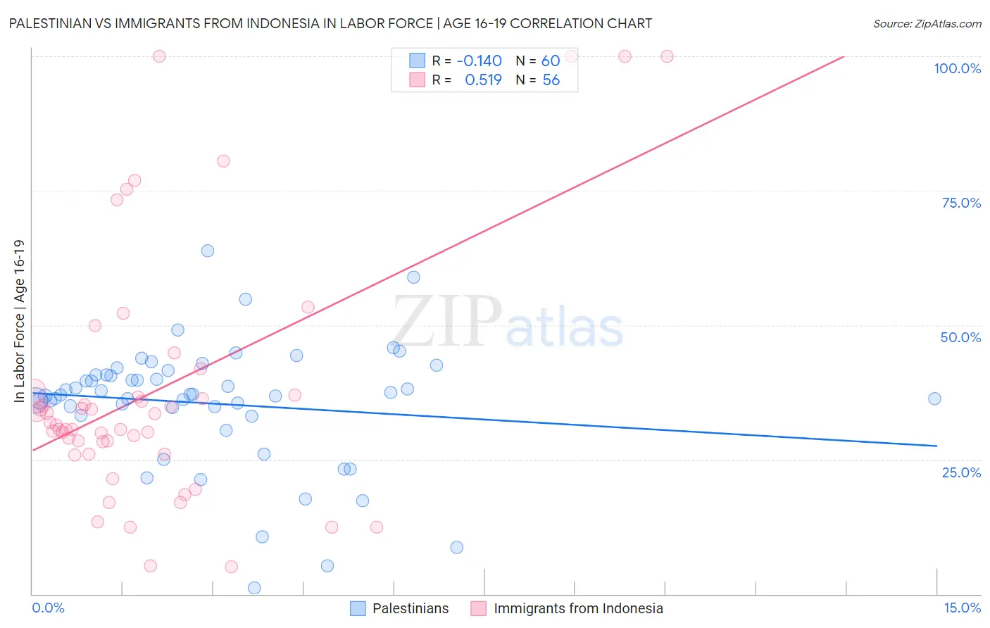 Palestinian vs Immigrants from Indonesia In Labor Force | Age 16-19