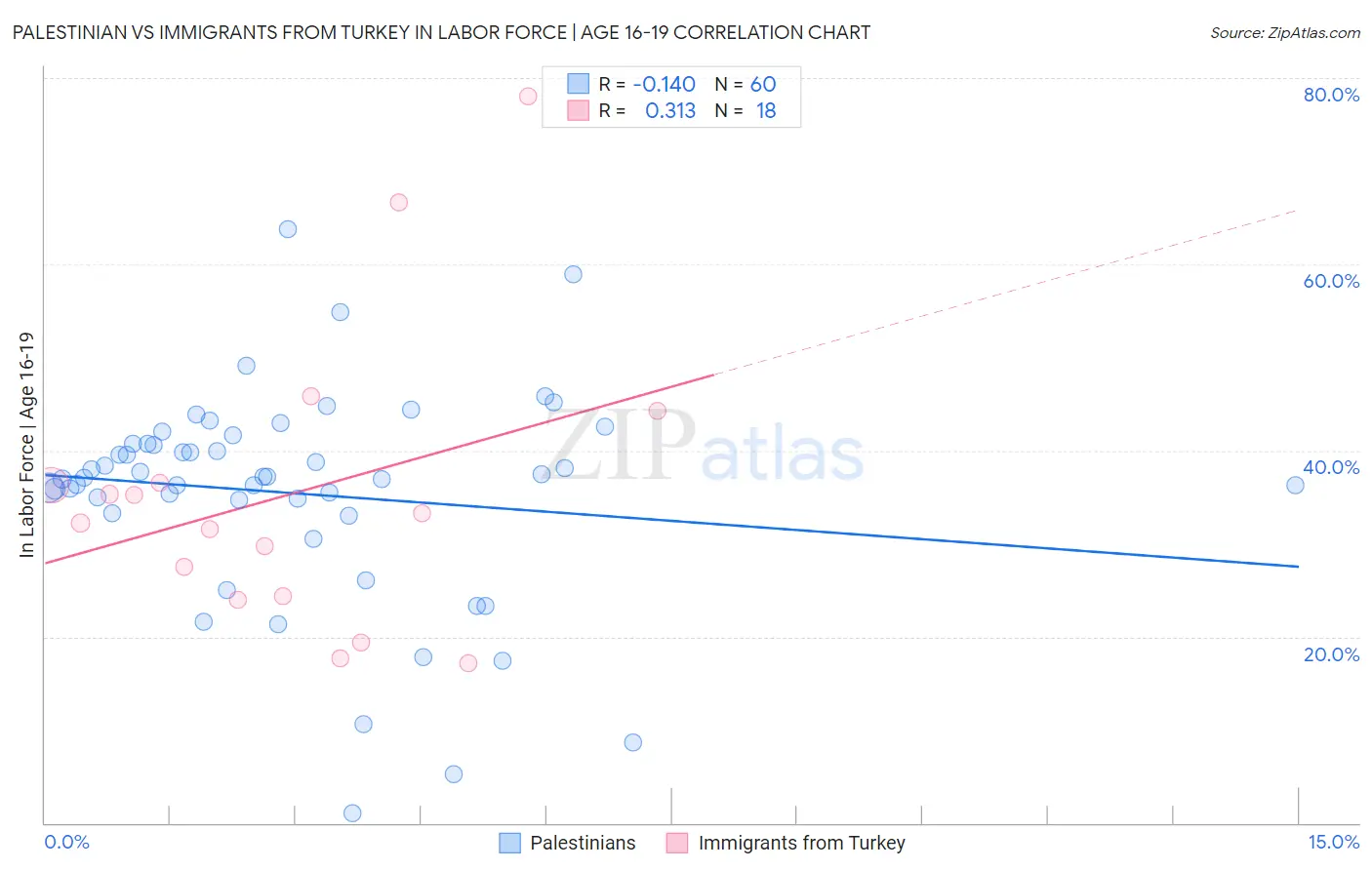 Palestinian vs Immigrants from Turkey In Labor Force | Age 16-19