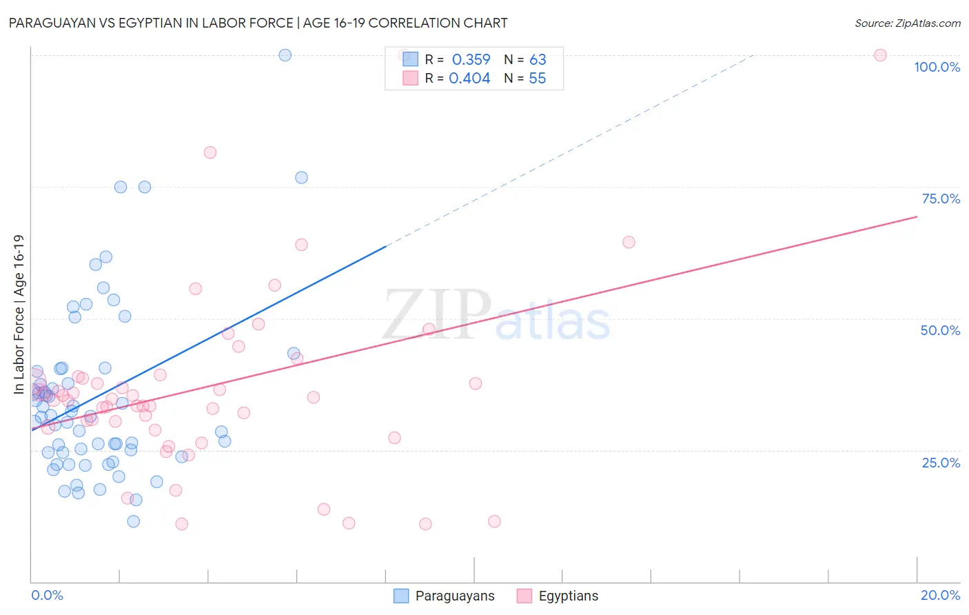 Paraguayan vs Egyptian In Labor Force | Age 16-19