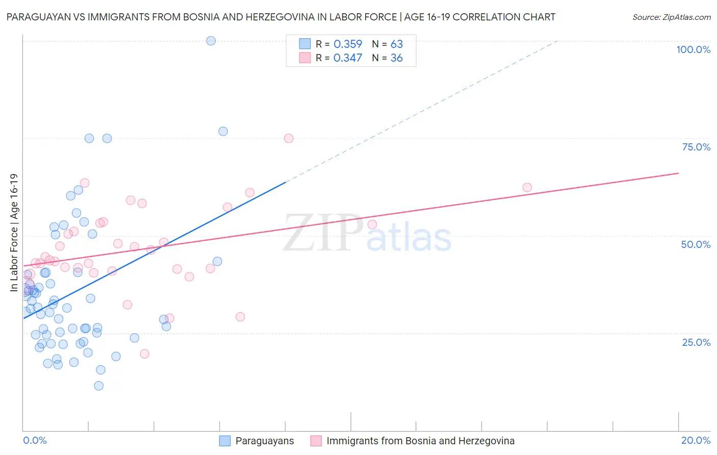 Paraguayan vs Immigrants from Bosnia and Herzegovina In Labor Force | Age 16-19