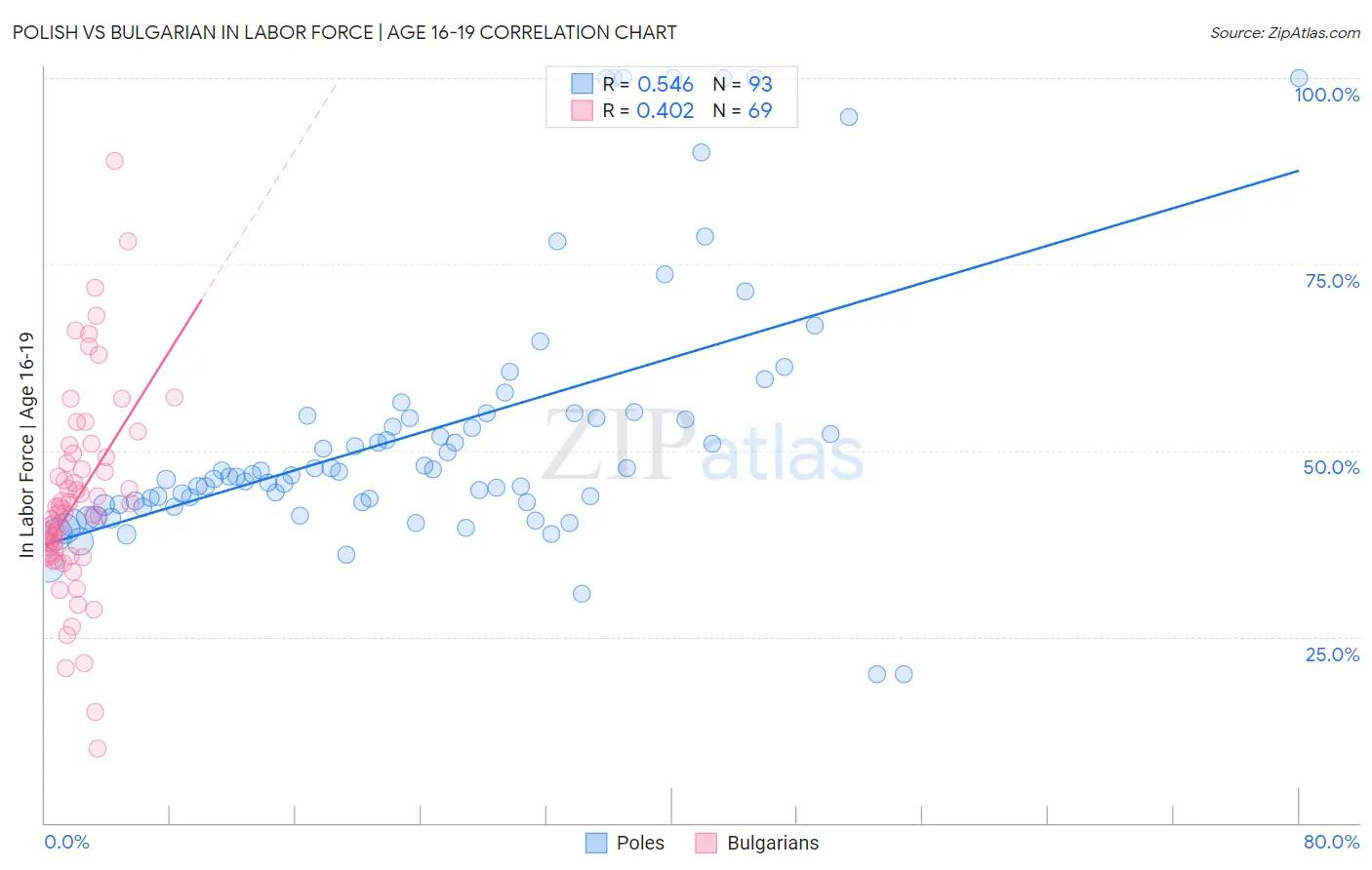 Polish vs Bulgarian In Labor Force | Age 16-19