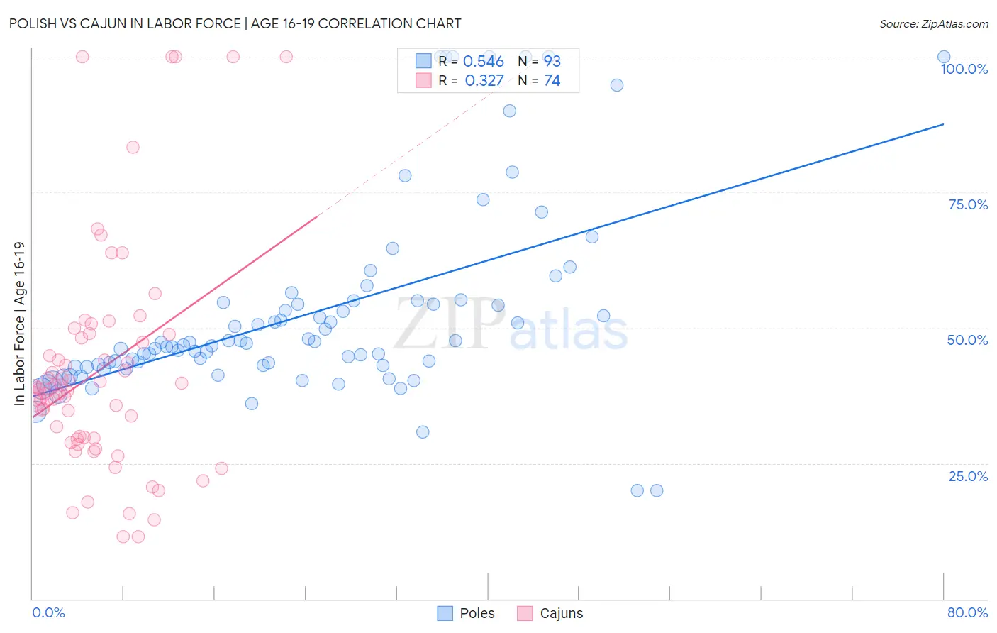 Polish vs Cajun In Labor Force | Age 16-19