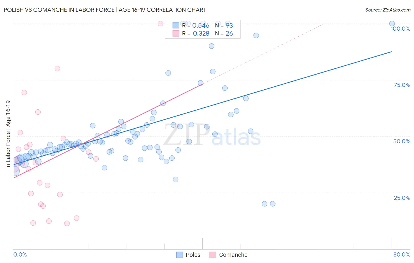 Polish vs Comanche In Labor Force | Age 16-19