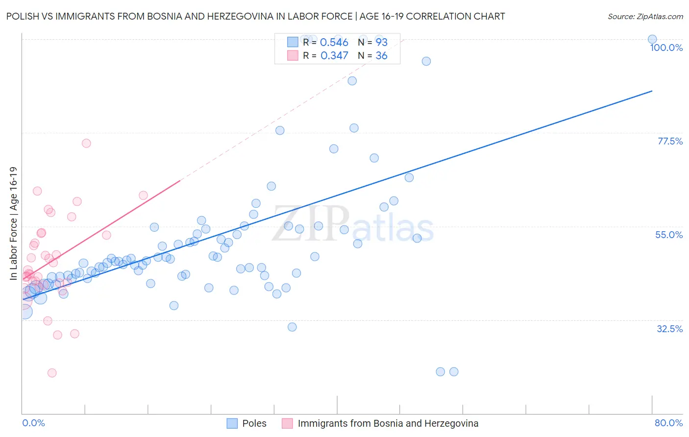 Polish vs Immigrants from Bosnia and Herzegovina In Labor Force | Age 16-19
