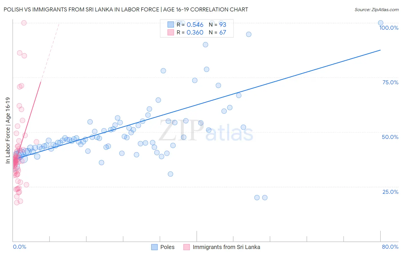 Polish vs Immigrants from Sri Lanka In Labor Force | Age 16-19