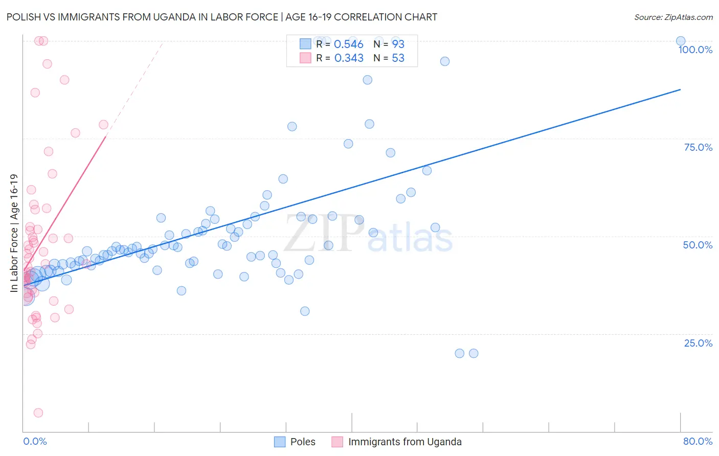 Polish vs Immigrants from Uganda In Labor Force | Age 16-19