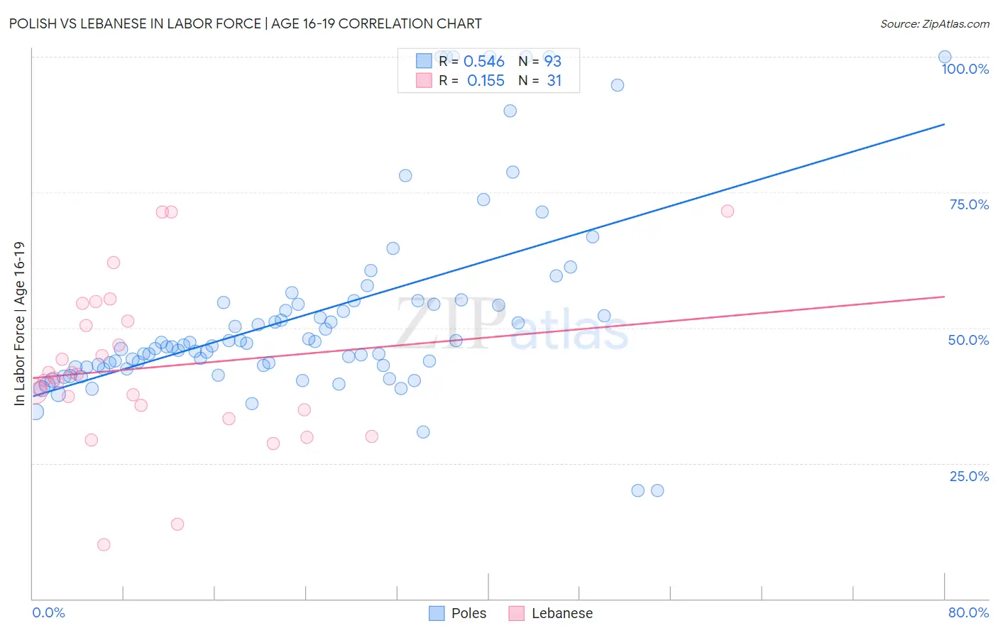 Polish vs Lebanese In Labor Force | Age 16-19