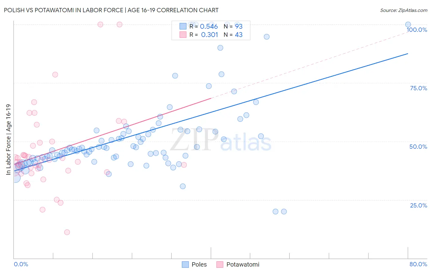 Polish vs Potawatomi In Labor Force | Age 16-19