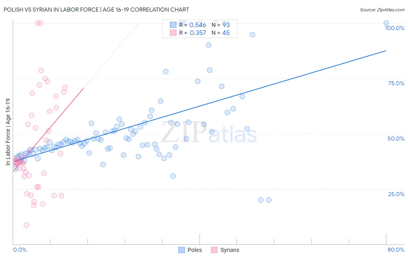 Polish vs Syrian In Labor Force | Age 16-19