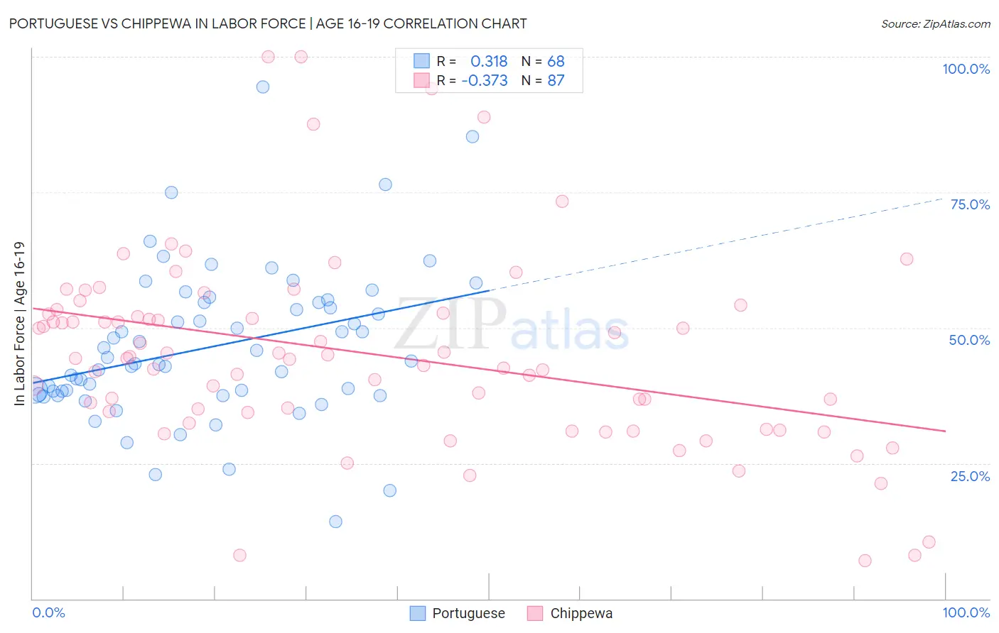 Portuguese vs Chippewa In Labor Force | Age 16-19