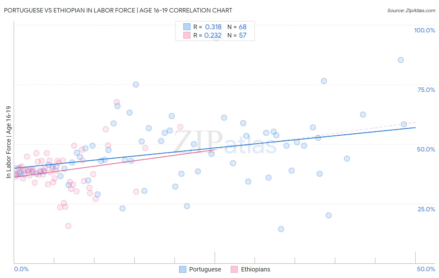 Portuguese vs Ethiopian In Labor Force | Age 16-19