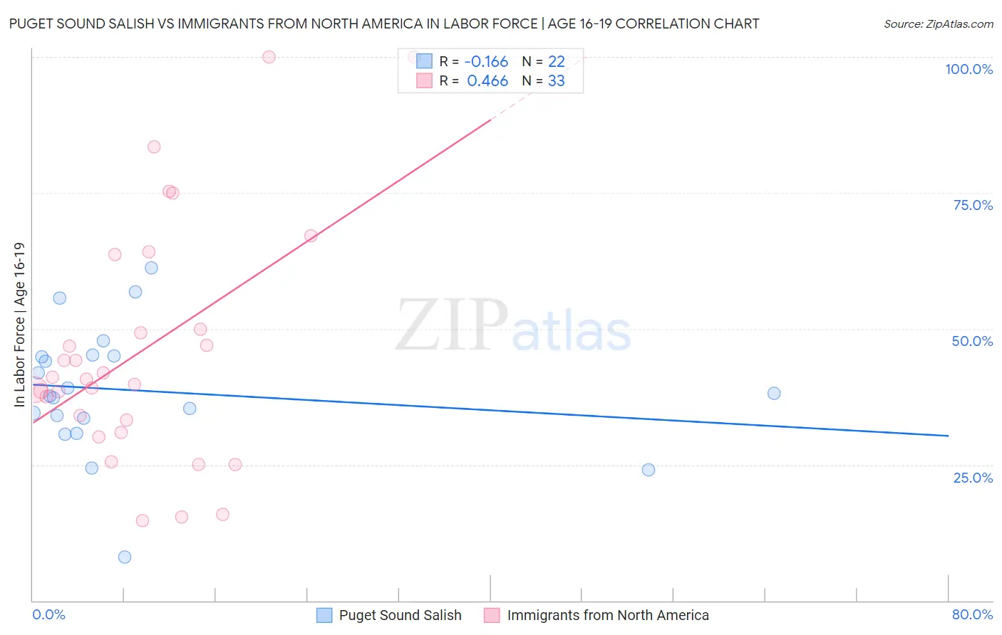 Puget Sound Salish vs Immigrants from North America In Labor Force | Age 16-19