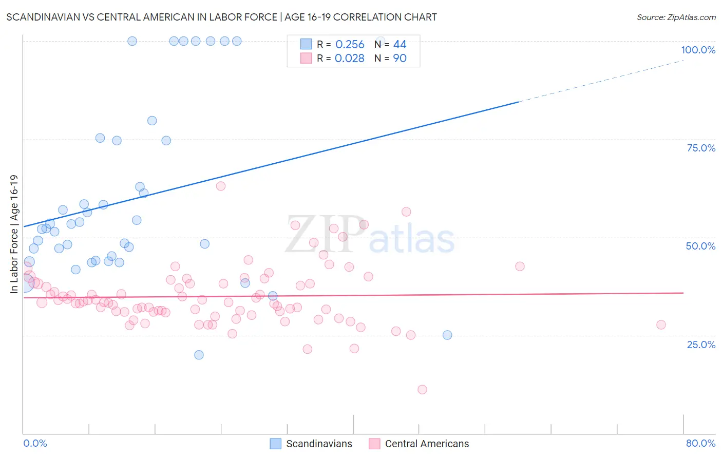 Scandinavian vs Central American In Labor Force | Age 16-19