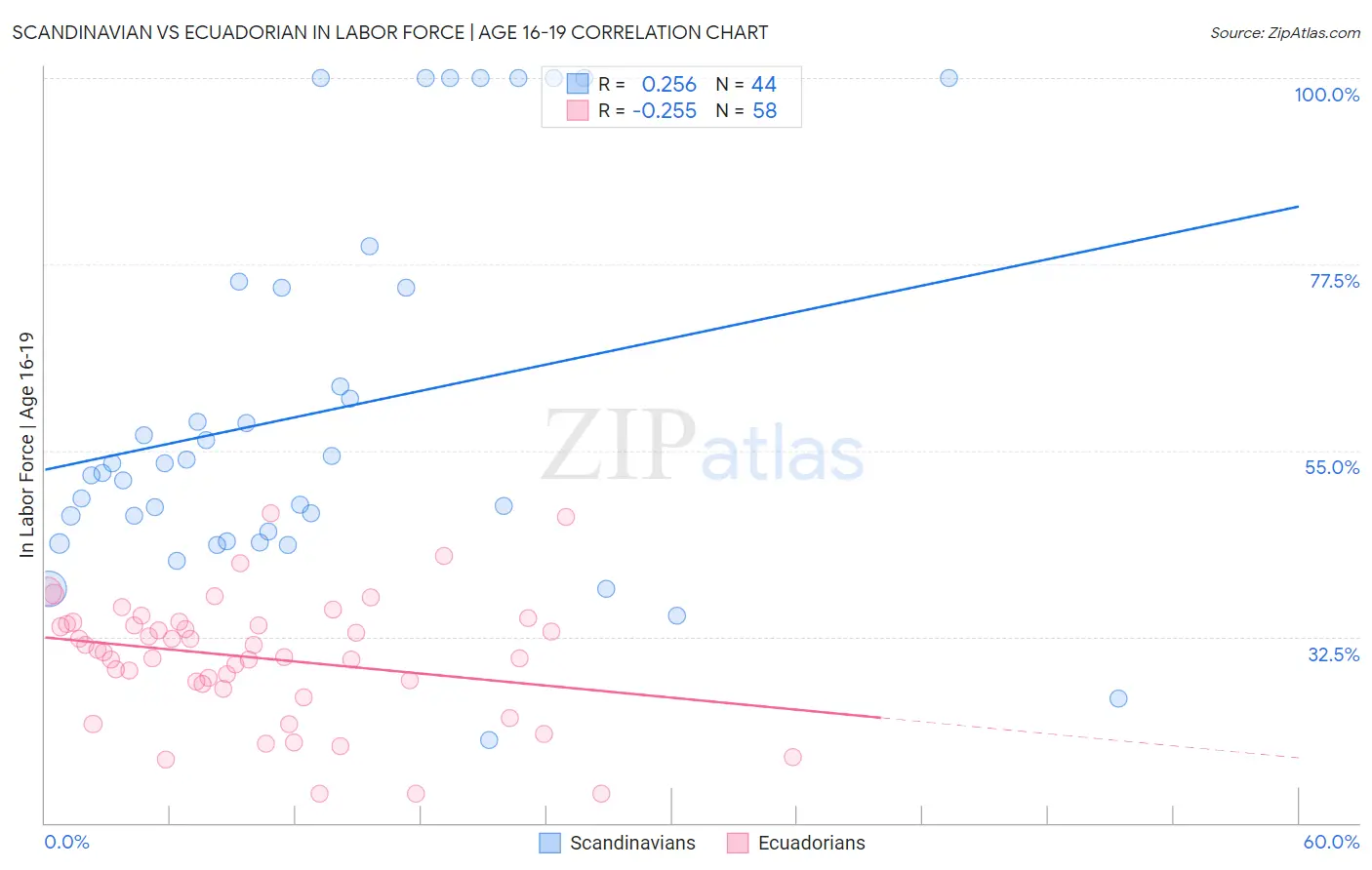 Scandinavian vs Ecuadorian In Labor Force | Age 16-19