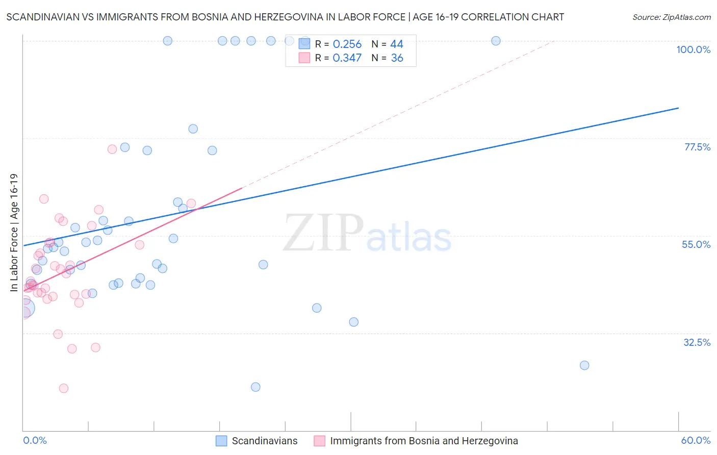 Scandinavian vs Immigrants from Bosnia and Herzegovina In Labor Force | Age 16-19