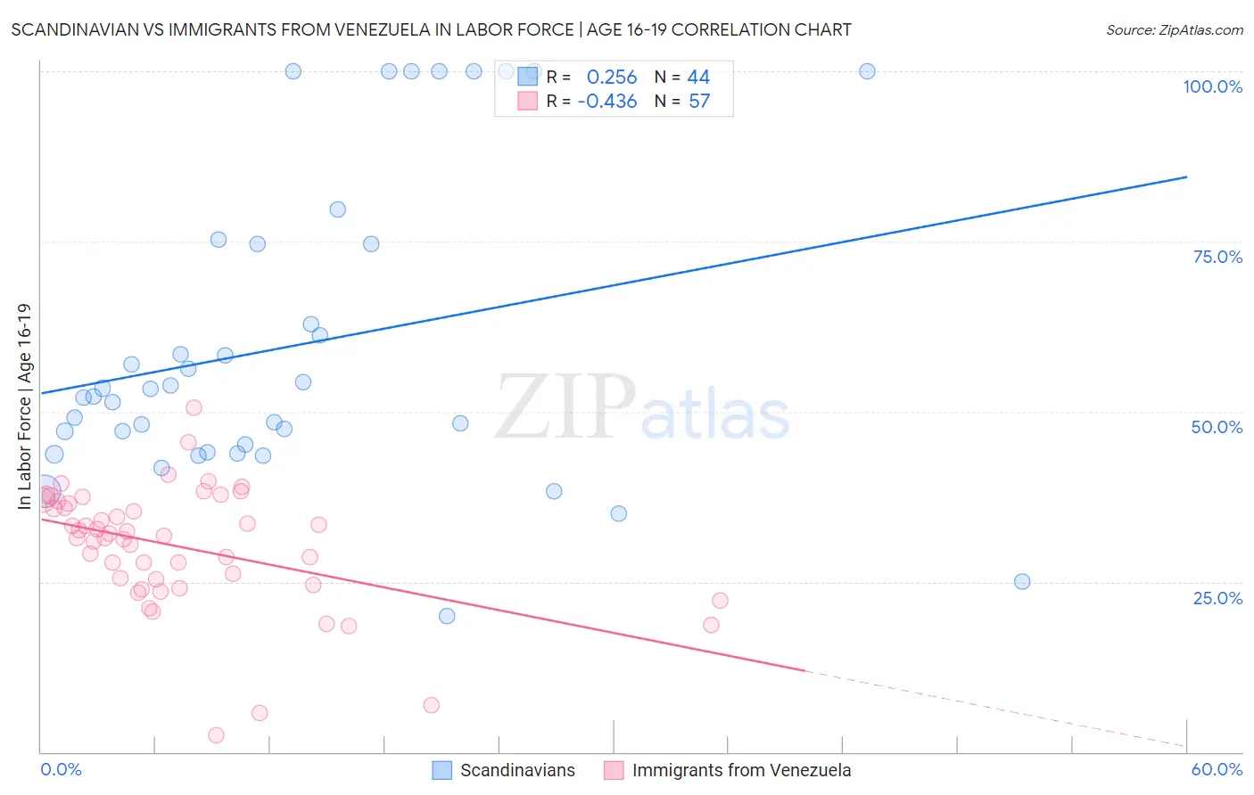 Scandinavian vs Immigrants from Venezuela In Labor Force | Age 16-19