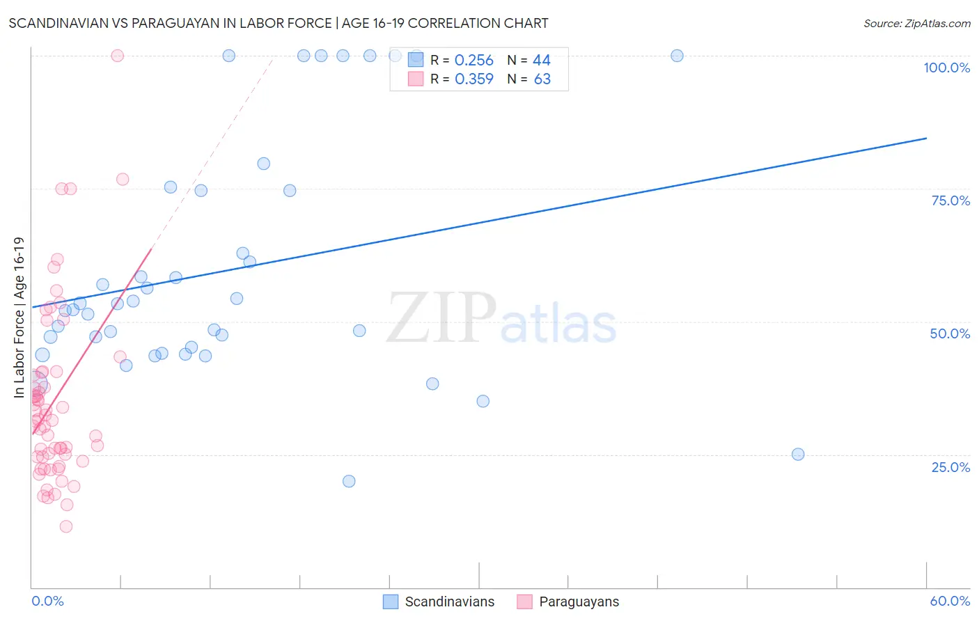 Scandinavian vs Paraguayan In Labor Force | Age 16-19