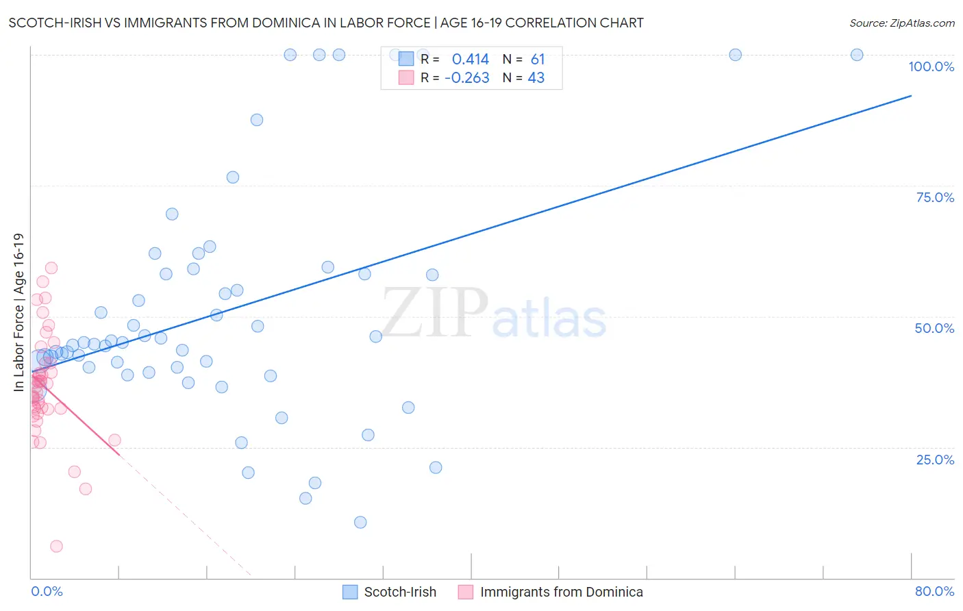 Scotch-Irish vs Immigrants from Dominica In Labor Force | Age 16-19