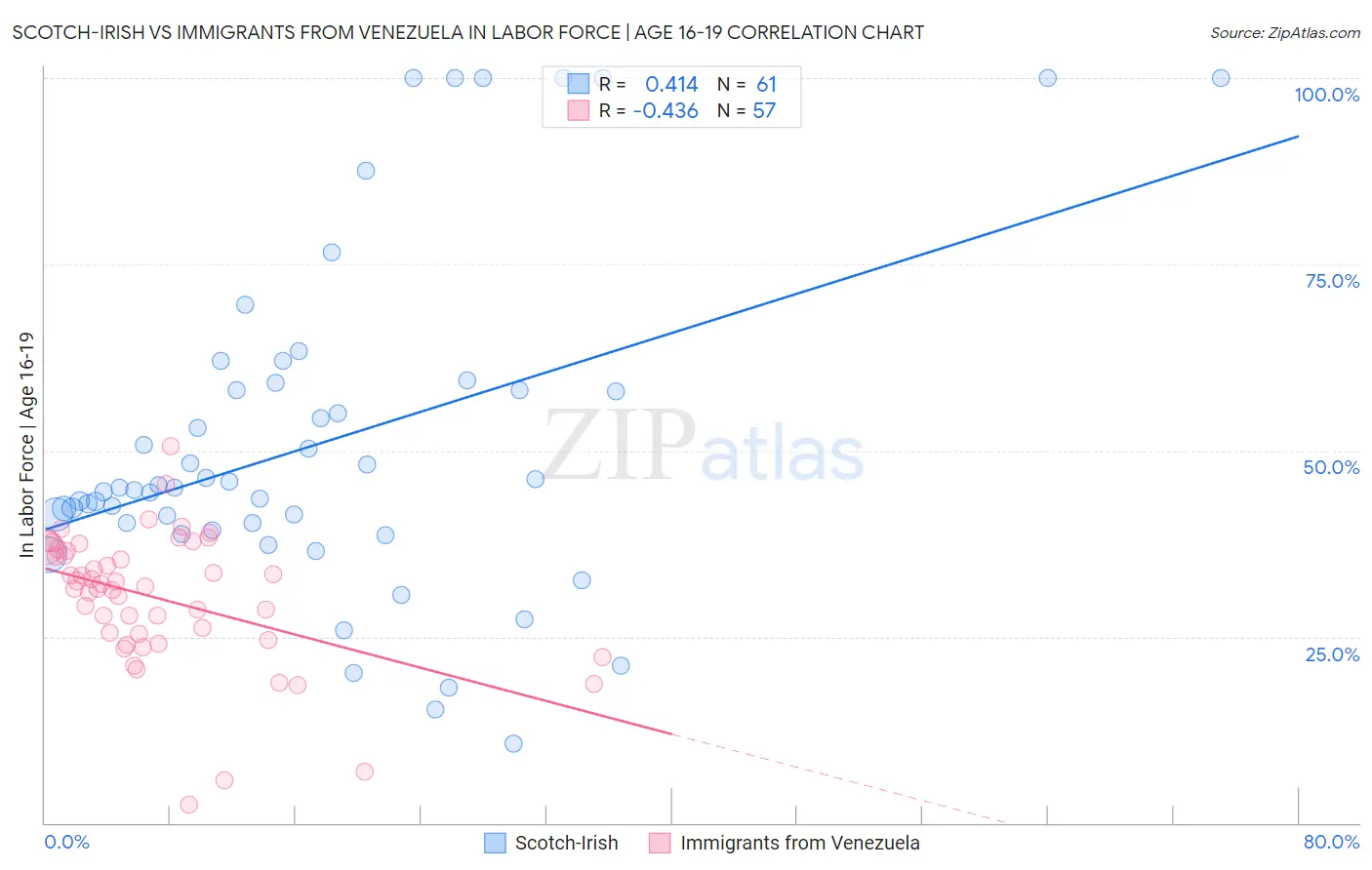 Scotch-Irish vs Immigrants from Venezuela In Labor Force | Age 16-19