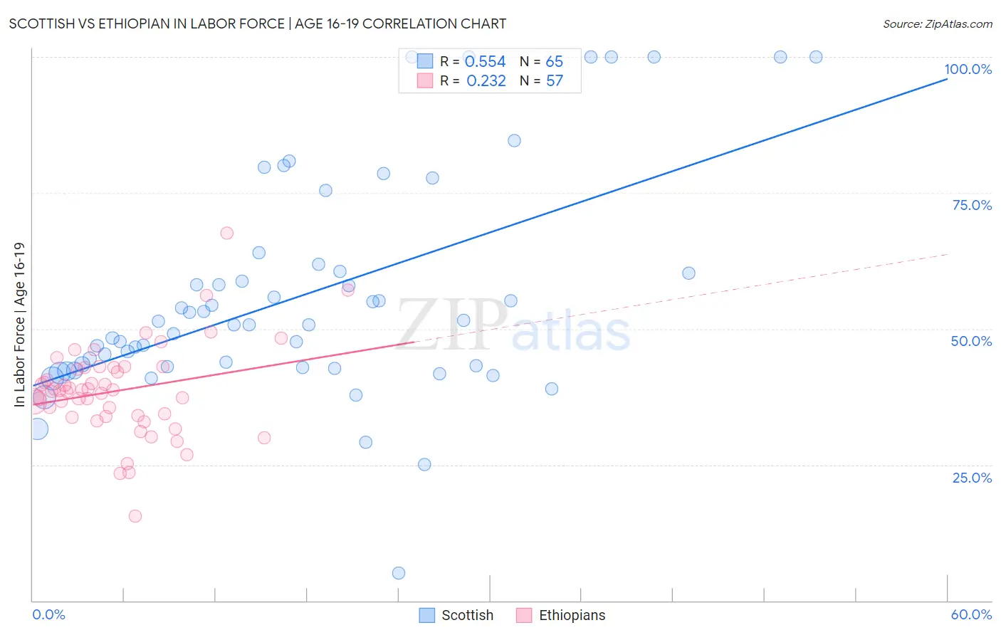 Scottish vs Ethiopian In Labor Force | Age 16-19