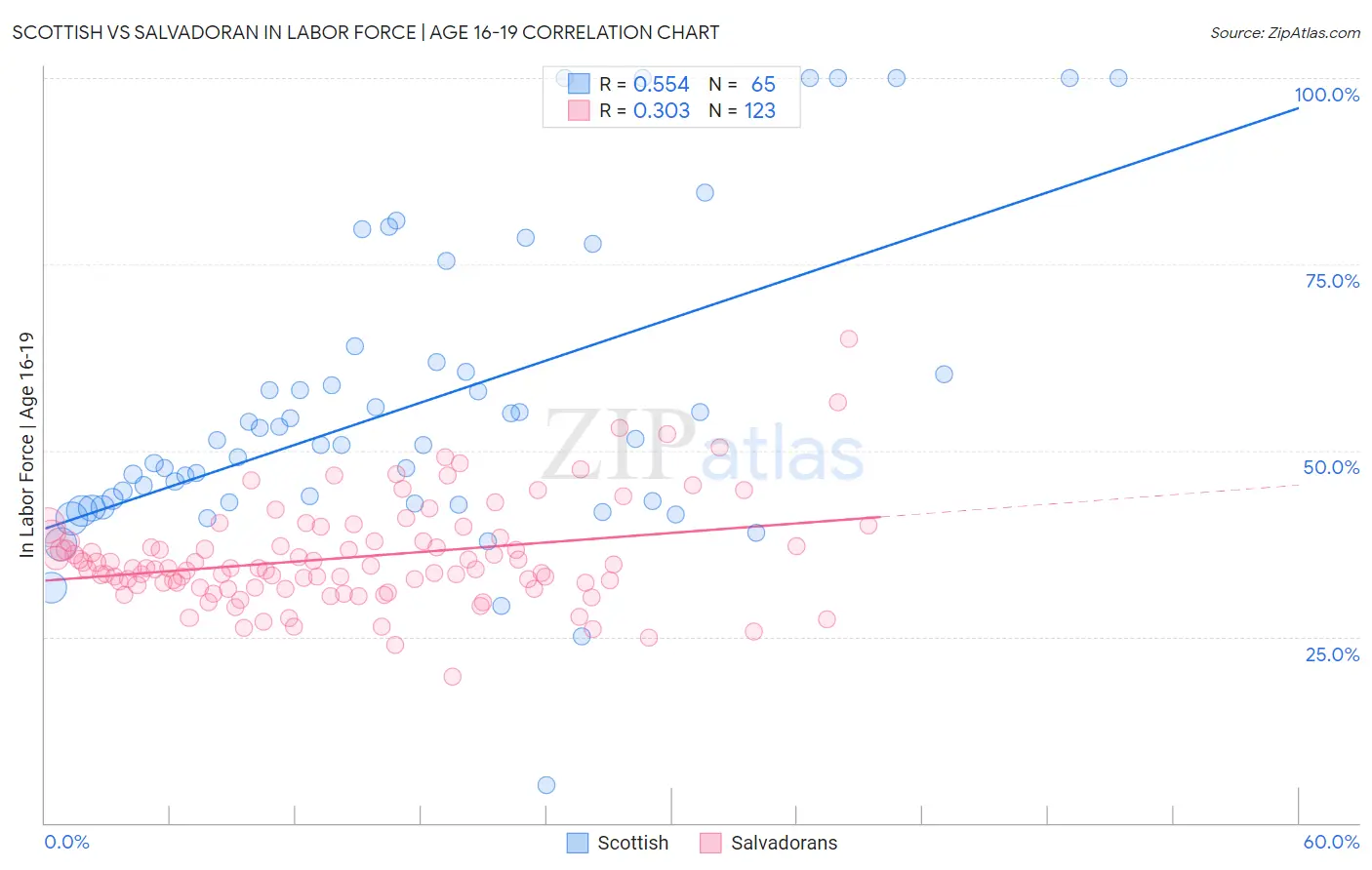 Scottish vs Salvadoran In Labor Force | Age 16-19