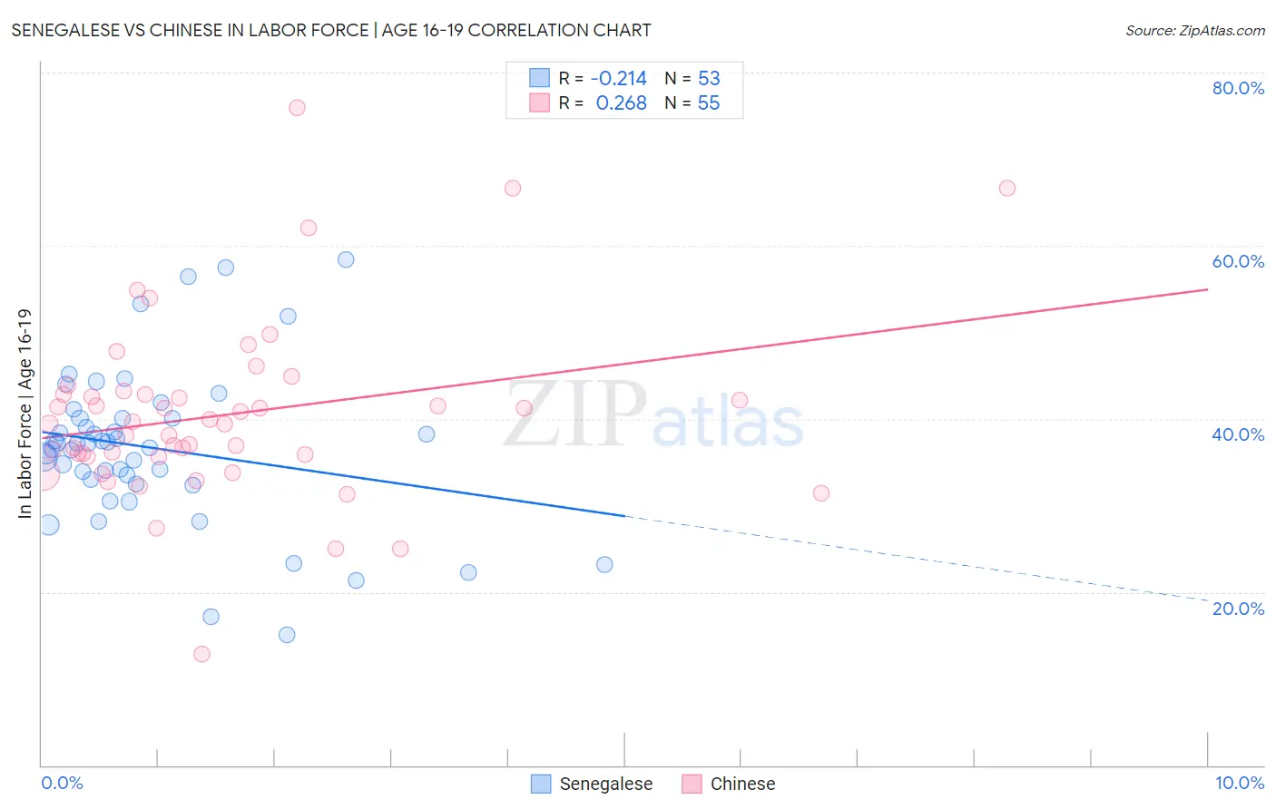 Senegalese vs Chinese In Labor Force | Age 16-19