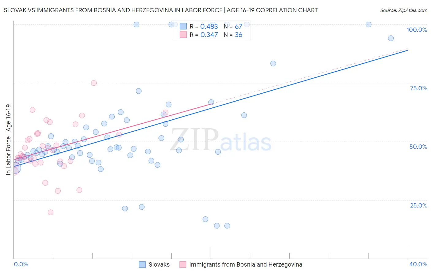 Slovak vs Immigrants from Bosnia and Herzegovina In Labor Force | Age 16-19