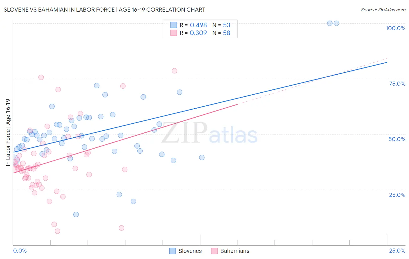 Slovene vs Bahamian In Labor Force | Age 16-19