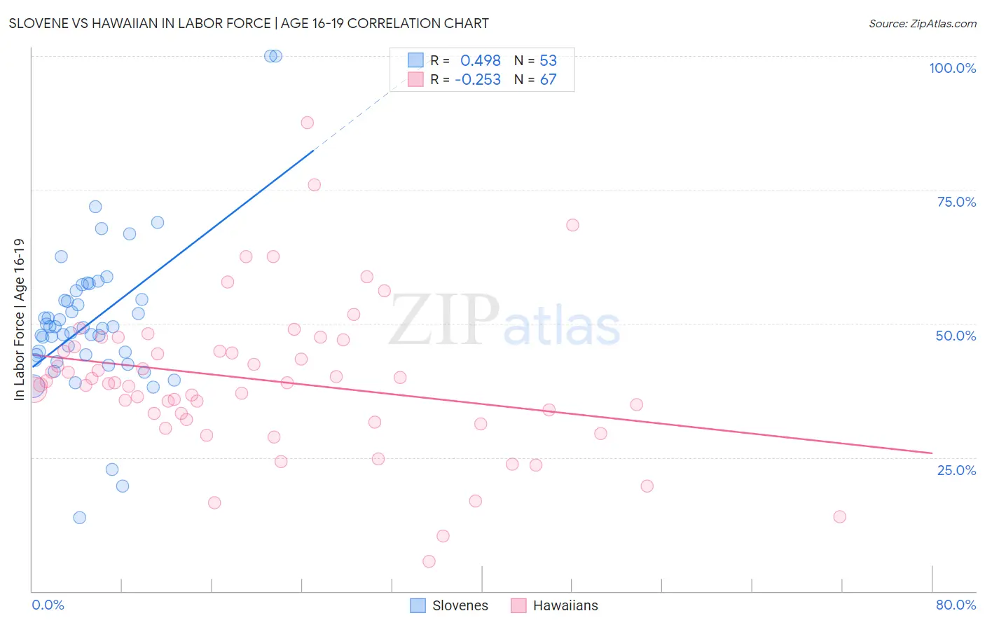 Slovene vs Hawaiian In Labor Force | Age 16-19