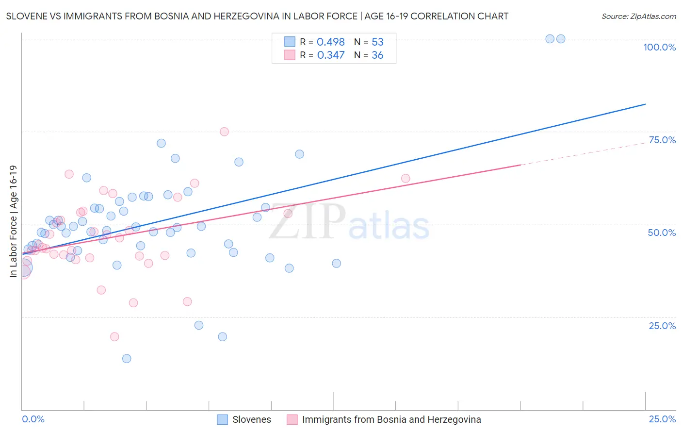 Slovene vs Immigrants from Bosnia and Herzegovina In Labor Force | Age 16-19