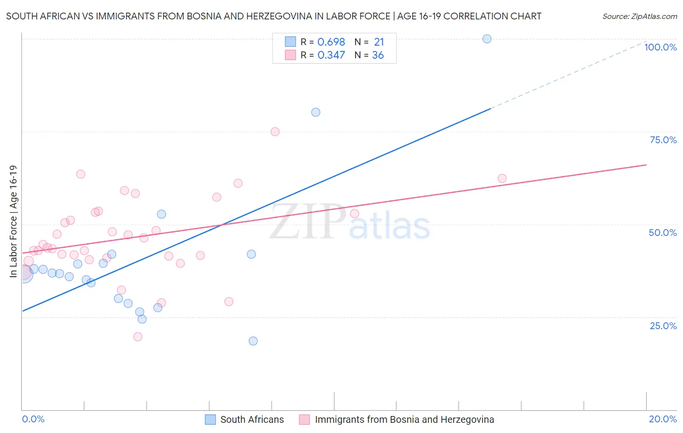 South African vs Immigrants from Bosnia and Herzegovina In Labor Force | Age 16-19