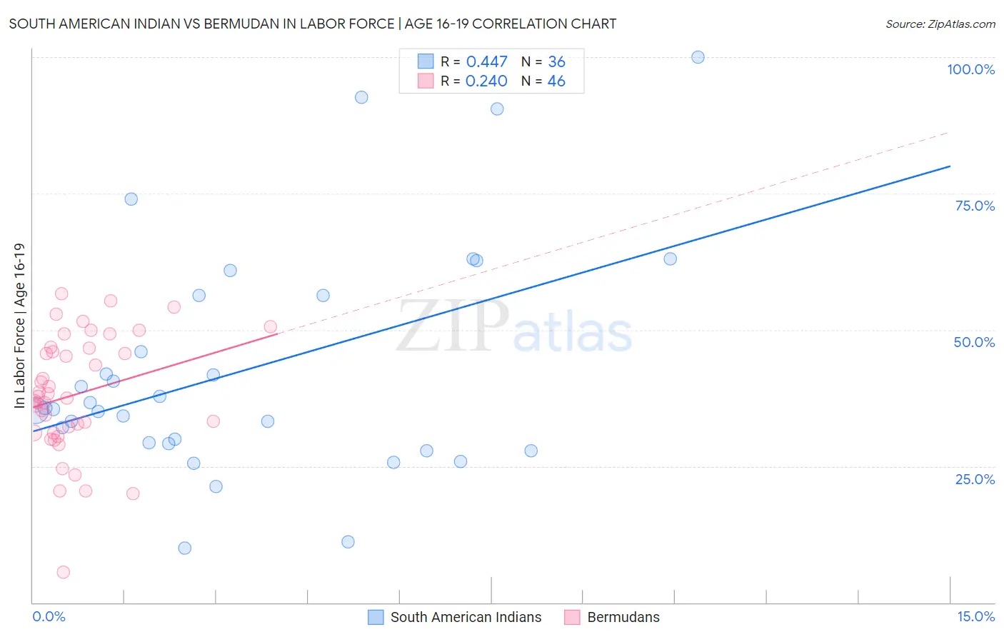 South American Indian vs Bermudan In Labor Force | Age 16-19