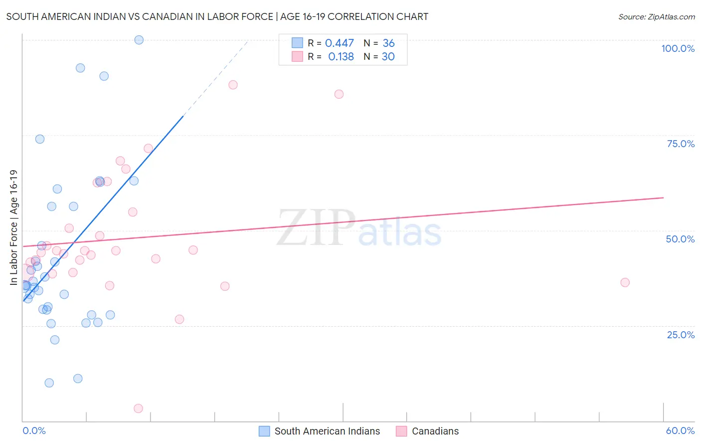 South American Indian vs Canadian In Labor Force | Age 16-19