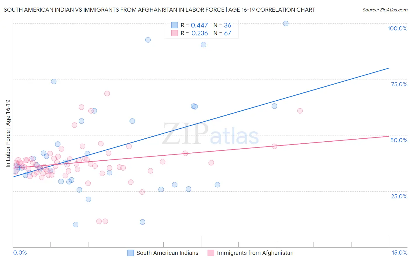 South American Indian vs Immigrants from Afghanistan In Labor Force | Age 16-19