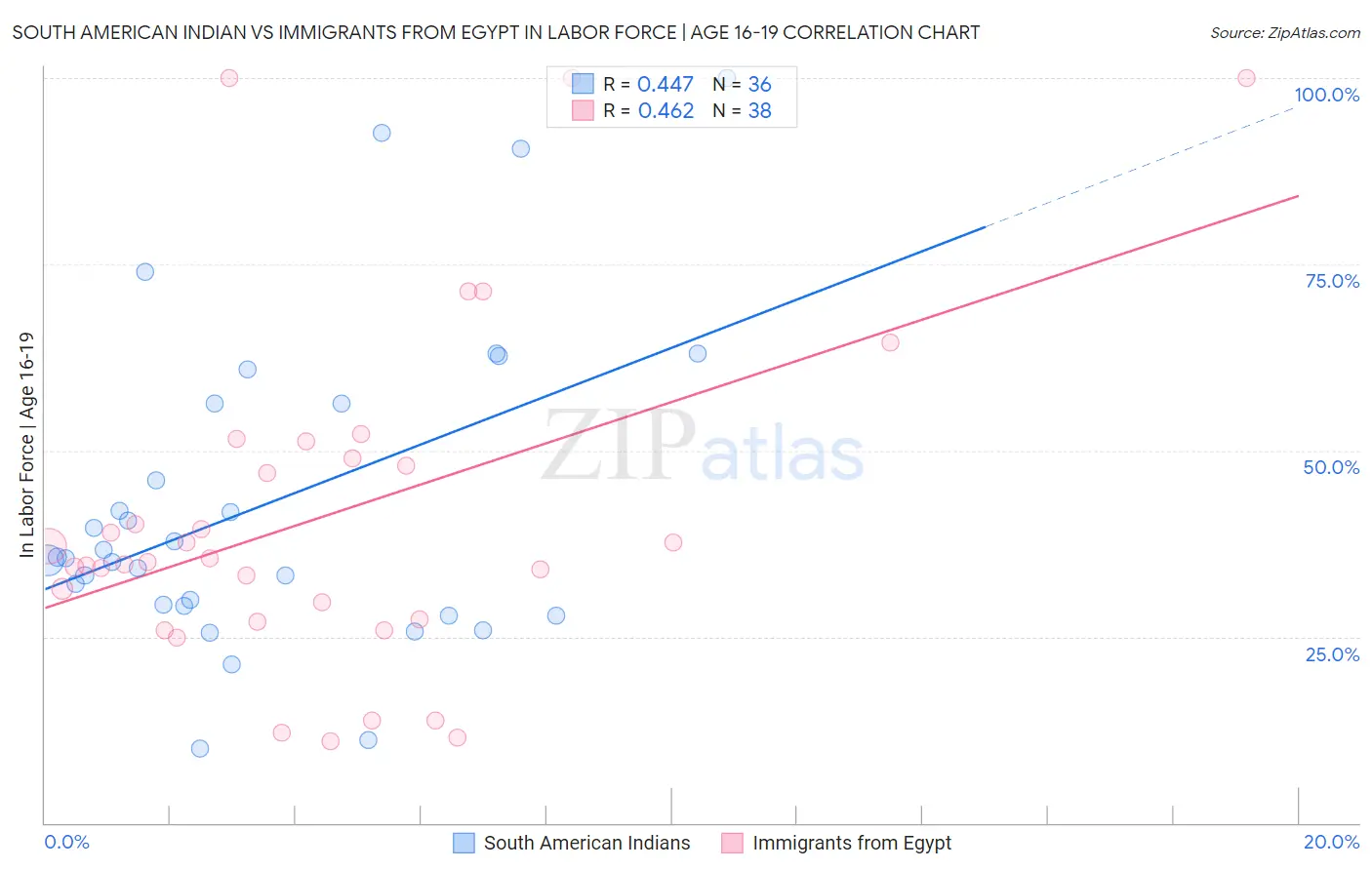 South American Indian vs Immigrants from Egypt In Labor Force | Age 16-19