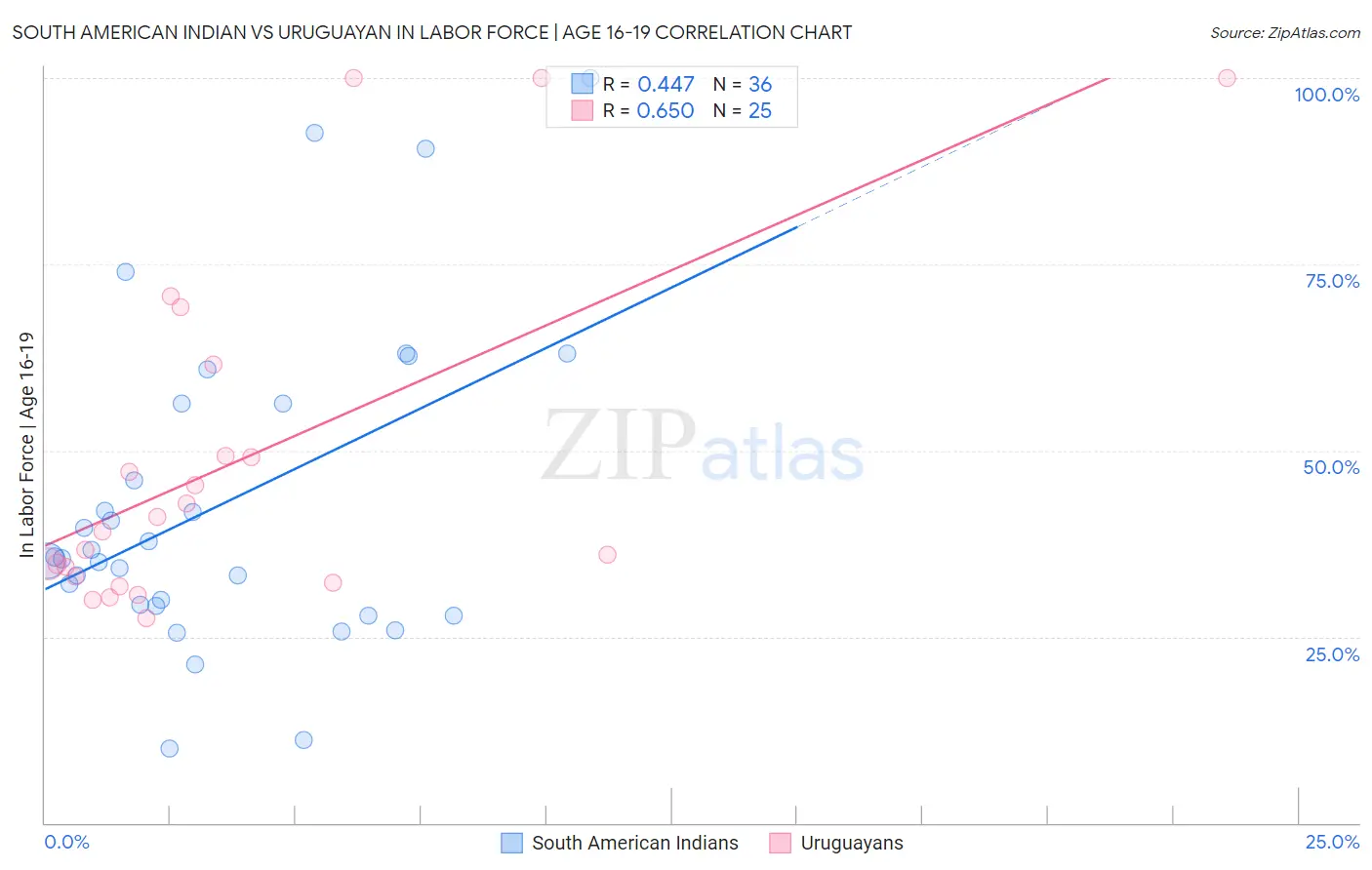 South American Indian vs Uruguayan In Labor Force | Age 16-19