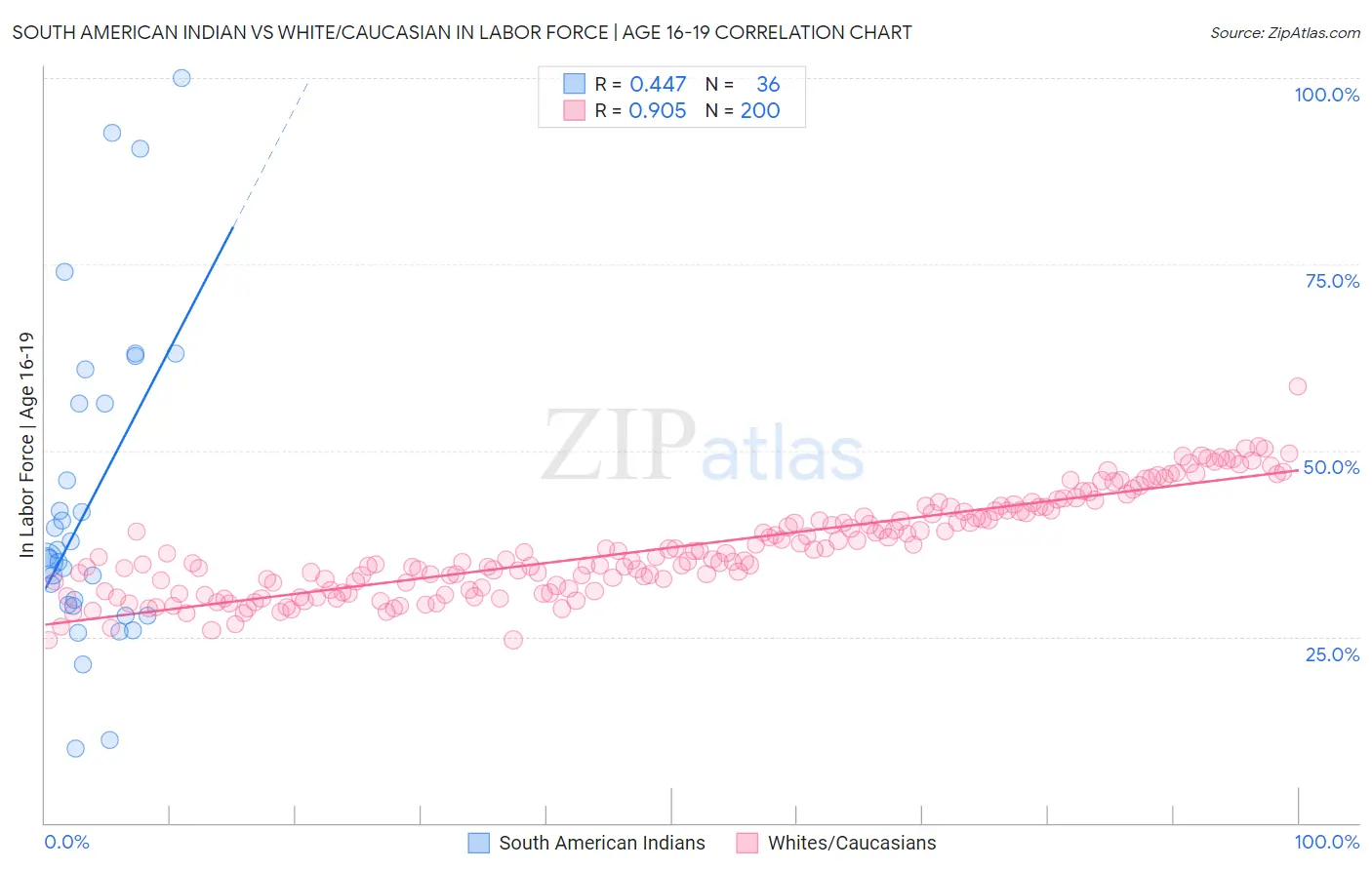 South American Indian vs White/Caucasian In Labor Force | Age 16-19