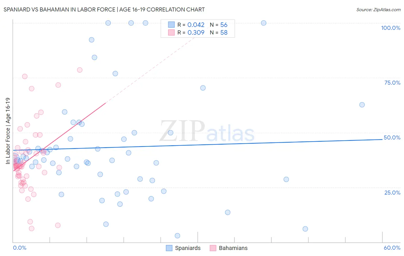 Spaniard vs Bahamian In Labor Force | Age 16-19