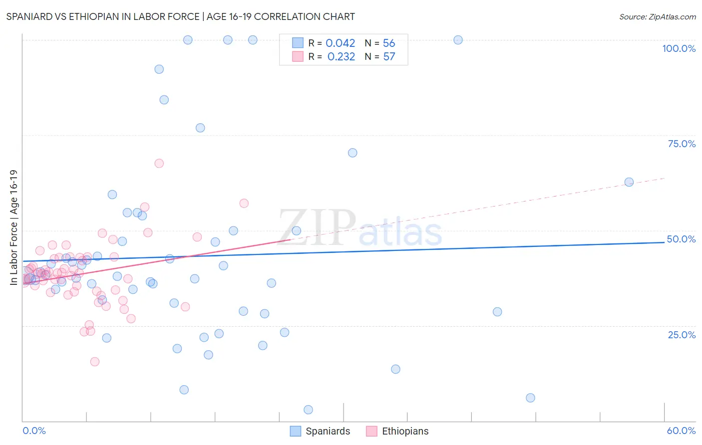 Spaniard vs Ethiopian In Labor Force | Age 16-19