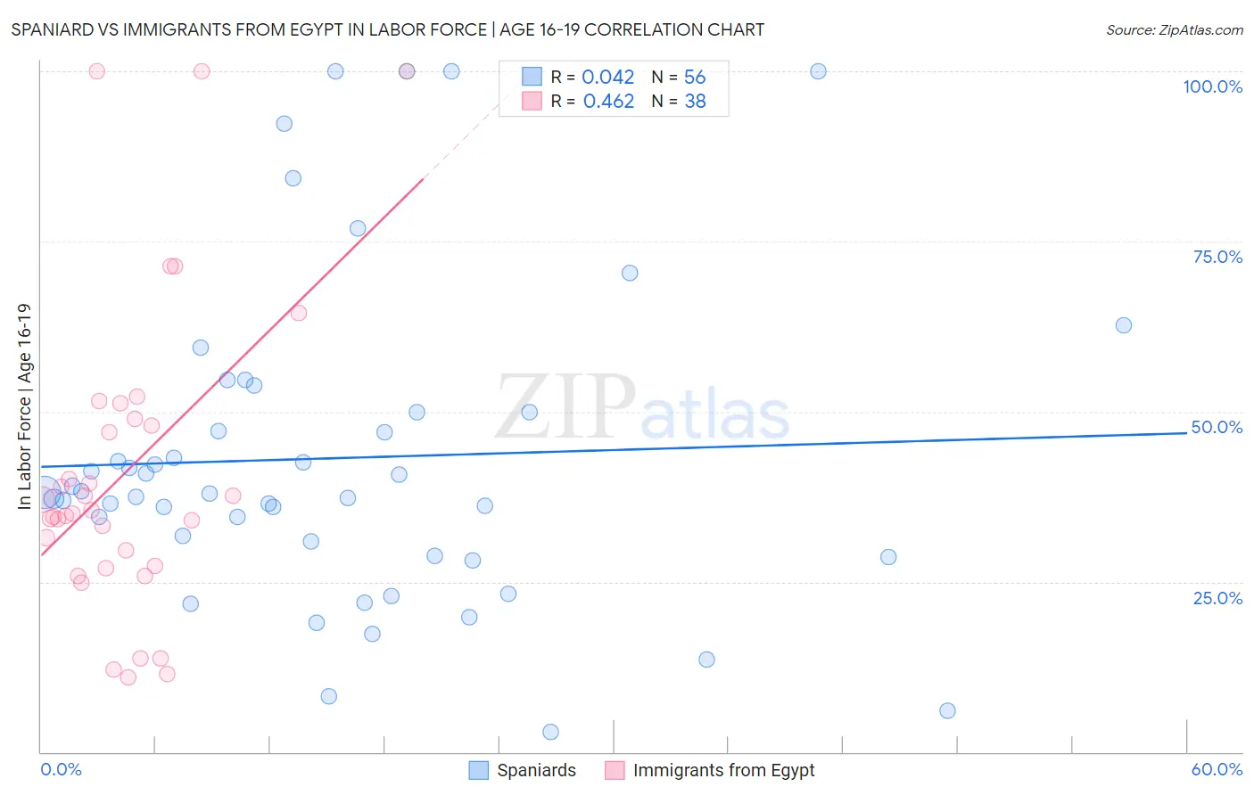 Spaniard vs Immigrants from Egypt In Labor Force | Age 16-19