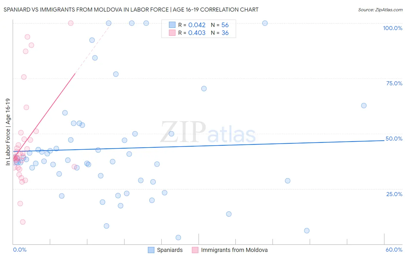 Spaniard vs Immigrants from Moldova In Labor Force | Age 16-19