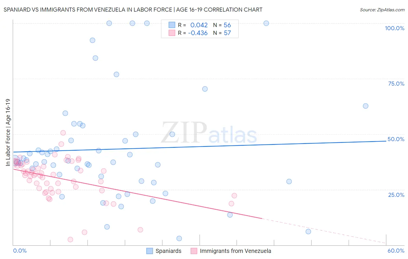 Spaniard vs Immigrants from Venezuela In Labor Force | Age 16-19