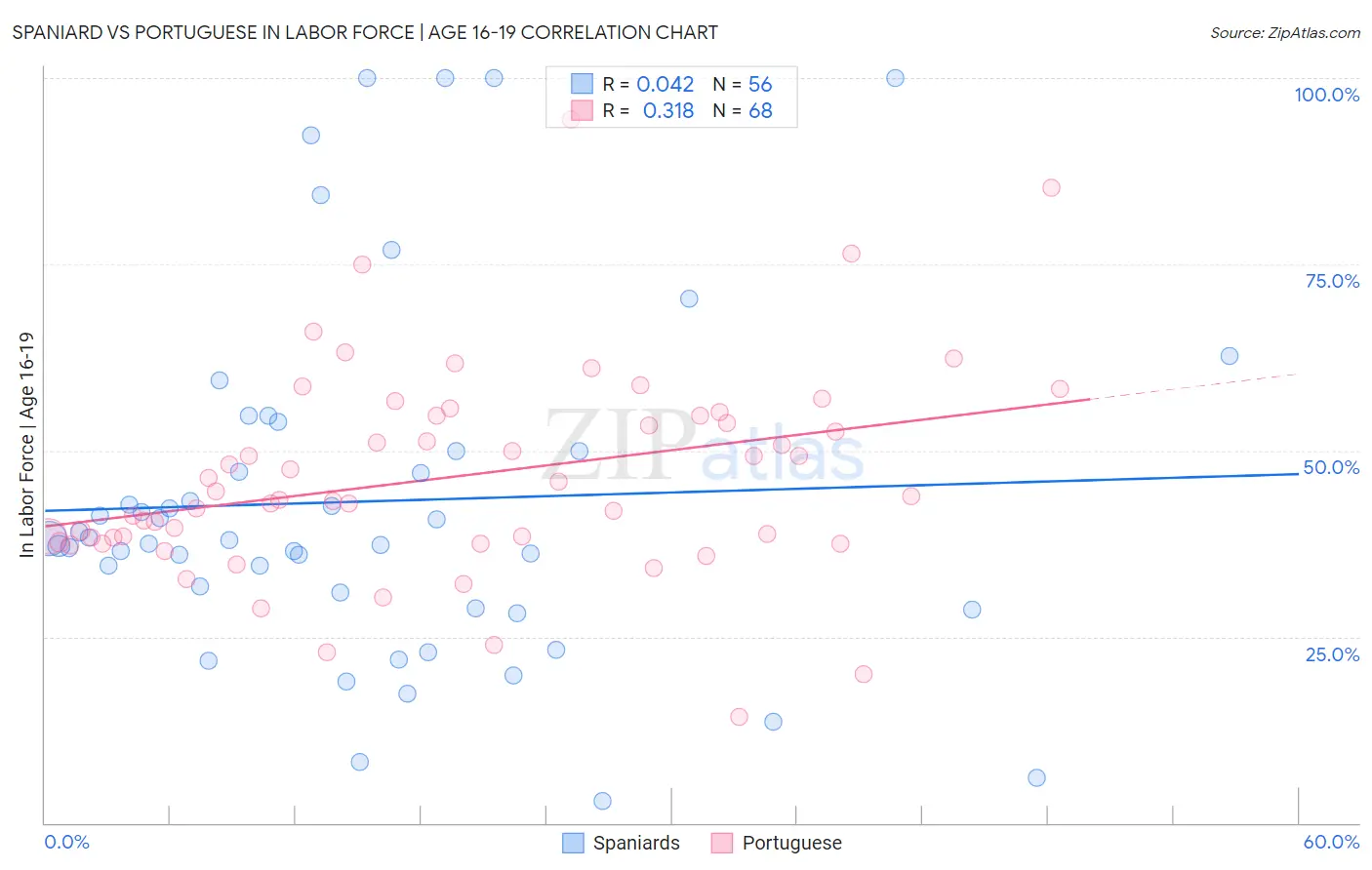 Spaniard vs Portuguese In Labor Force | Age 16-19