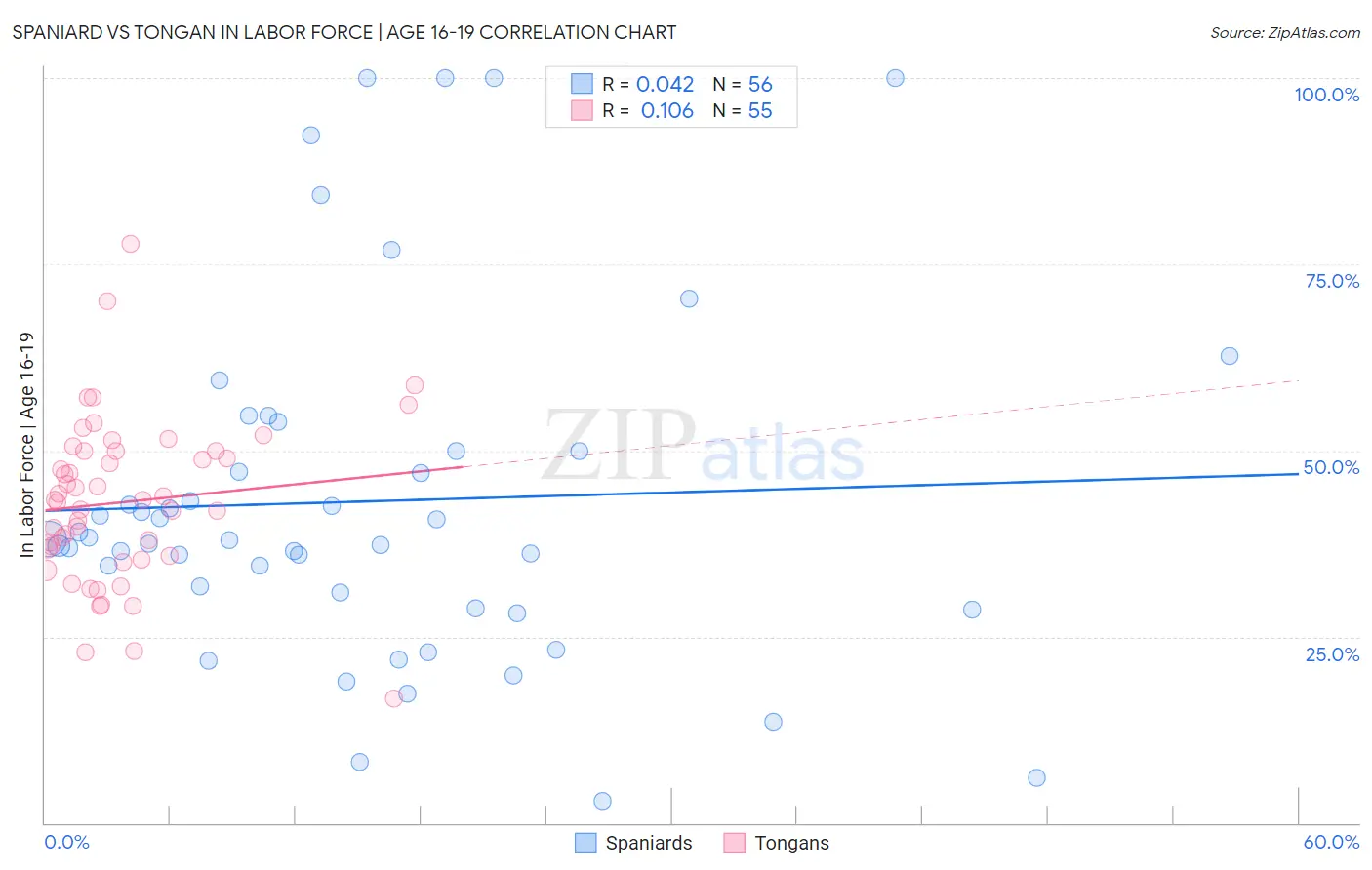 Spaniard vs Tongan In Labor Force | Age 16-19