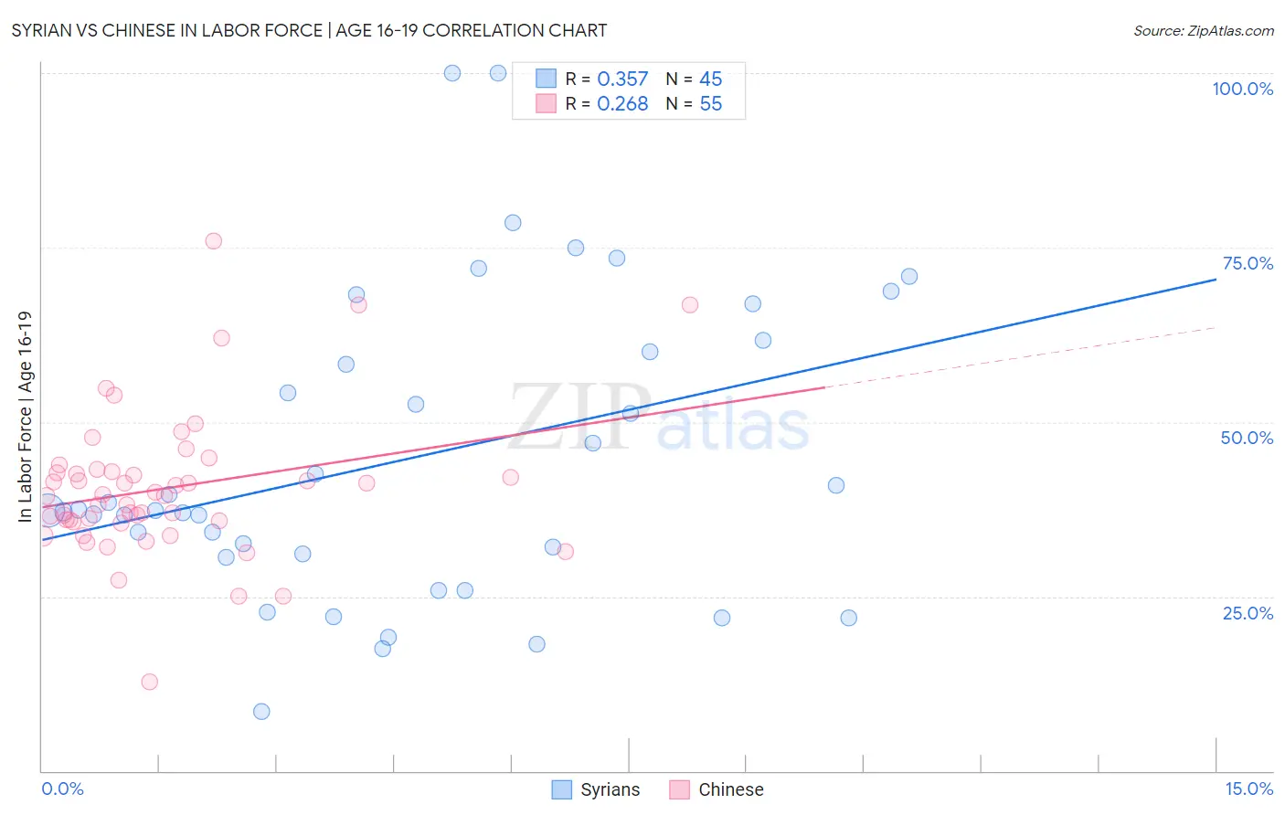 Syrian vs Chinese In Labor Force | Age 16-19