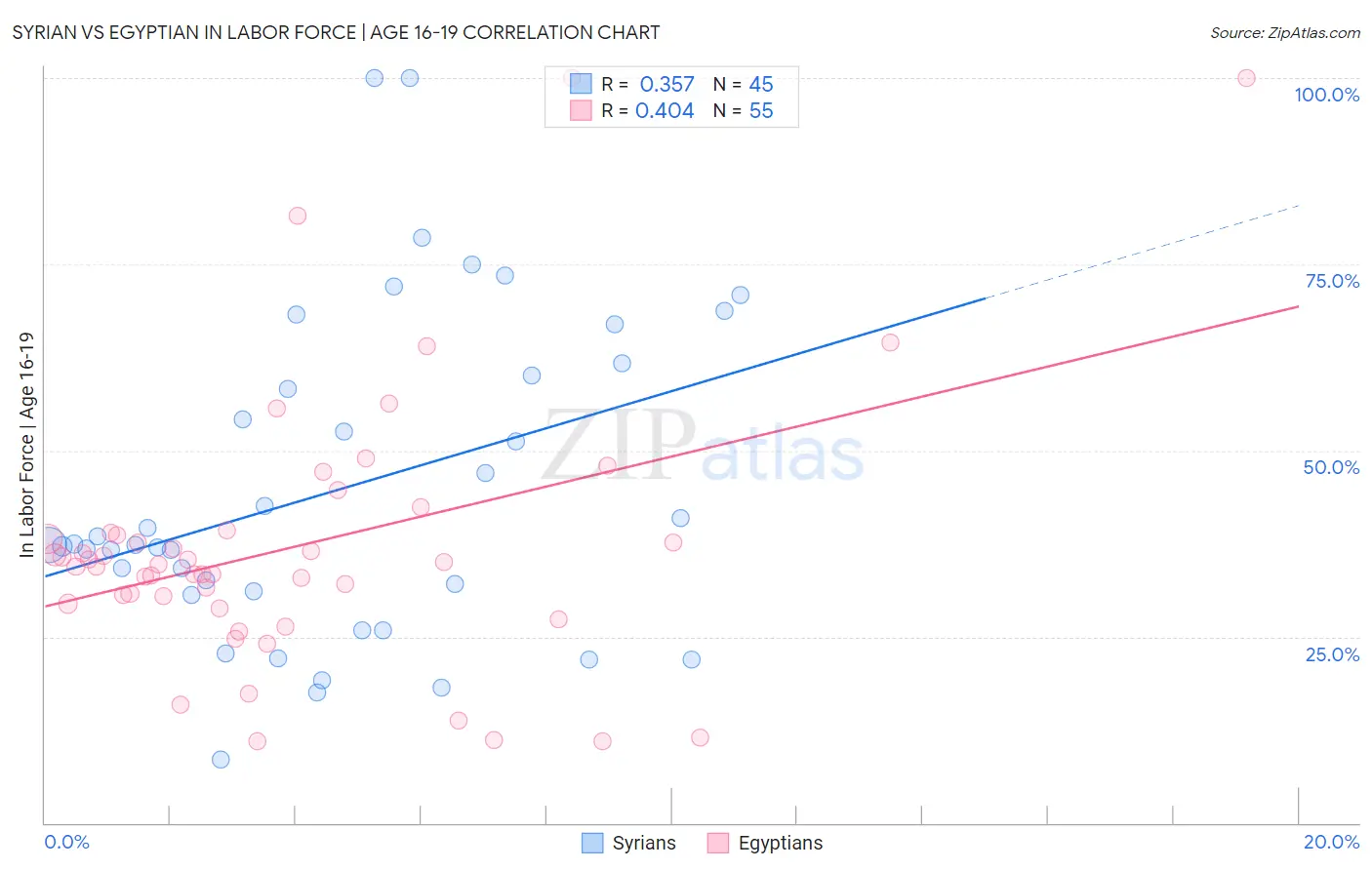 Syrian vs Egyptian In Labor Force | Age 16-19