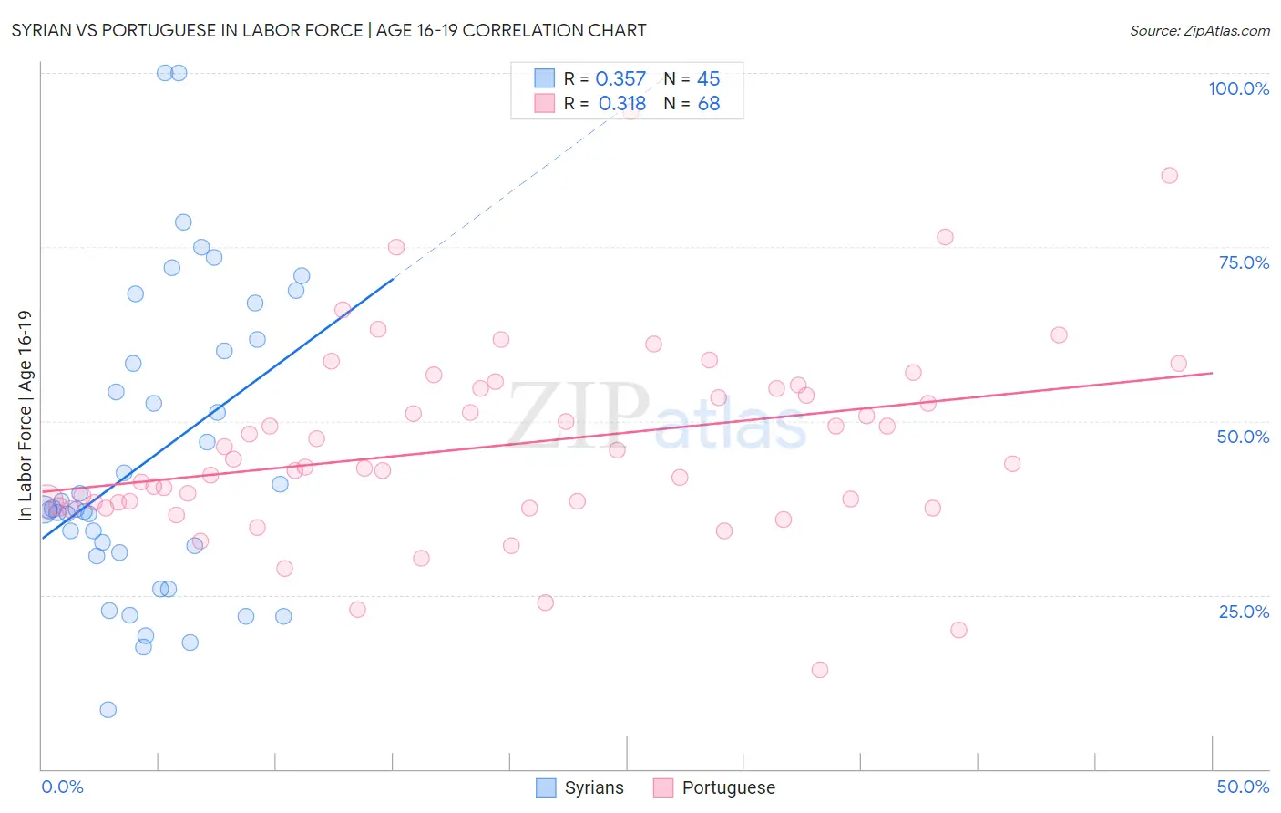 Syrian vs Portuguese In Labor Force | Age 16-19